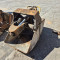 Grapple bucket