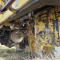 Grader