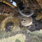 Grader