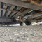 Renault Premium 410.19 +
