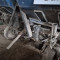 Potato planter