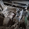 Potato planter