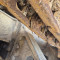 Caterpillar D 4 C