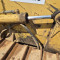 Caterpillar D 4 C