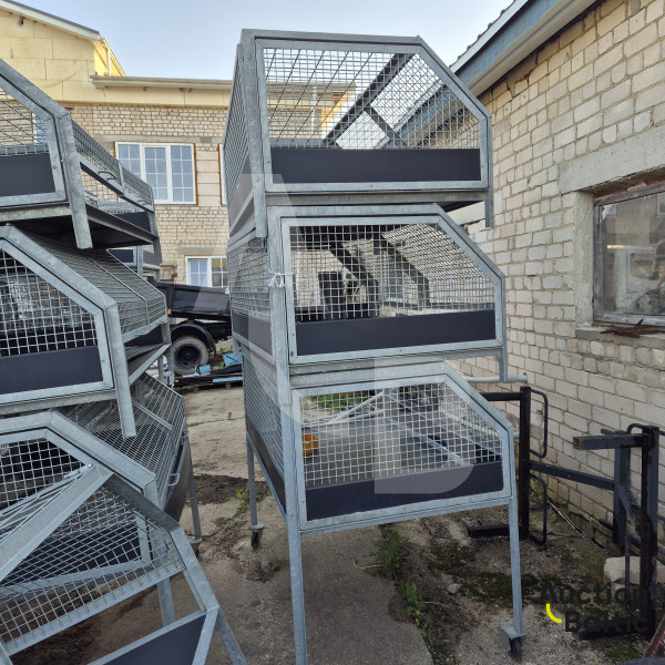 Animal cages (35 units)