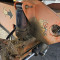 JLG 860 SJ