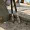 Manitou pallet forks