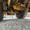 HSW 534E