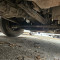 Mus-Max Wood Terminator 11+Kesla 2112 T+Volvo FH16