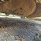 Iveco 35S 13