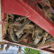 Hardi Commander 4500