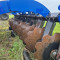 Agro-System BT3.0