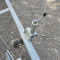Tiki Treiler KP1500-RB