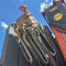 Iveco AD260T35 + Palfinger PK36002