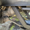 Demag AC 155