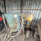 Atlas Copco XAS 65