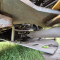 Liebherr L 542