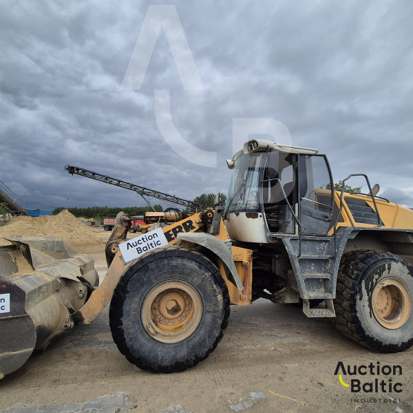 Liebherr L 556
