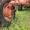 Belarus 	MTZ 82