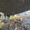 Wirtgen W500
