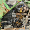 John Deere 810 D