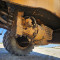 CASE WX 165