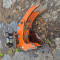 Caterpillar 308 E 2 CR